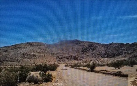 Joshua Tree Land Opportunity