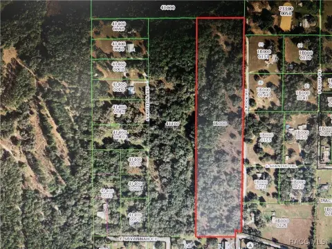 Floral City Land Opportunity