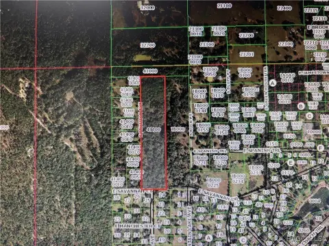 Floral City Land Opportunity