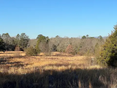 Agricultural Land with Pond
