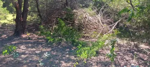 Land Near Navarro Lake