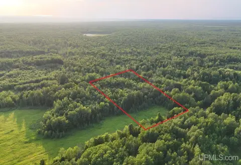 Recreational Land with Mixed Forest