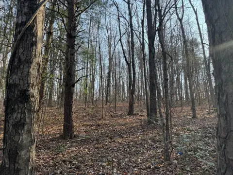 Wooded Land Near Jamestown