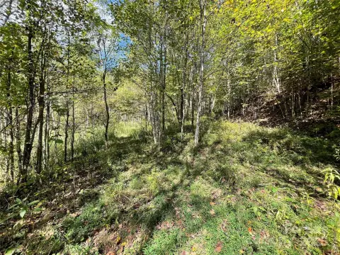 Waynesville Land with Development Potential