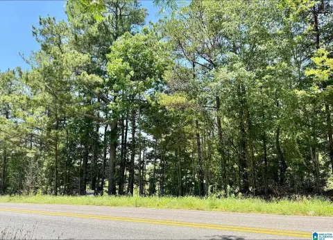 Wooded Recreational Land Tract