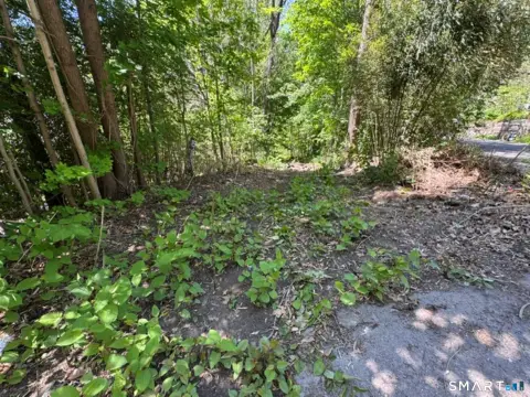Approved Building Lot in Naugatuck