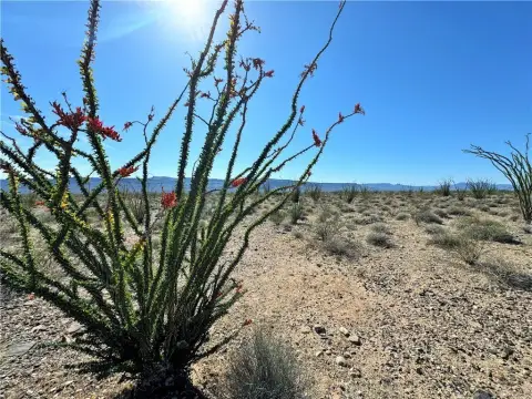 Land in Yucca, Arizona