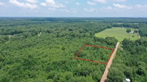 Unrestricted Wooded Land Tract