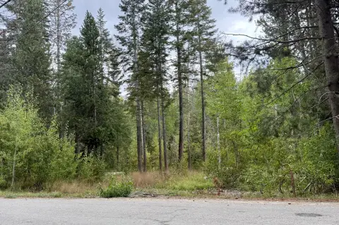 Buildable Land Near Sequoia Monument