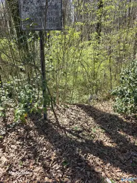 Land in Center Point, AL