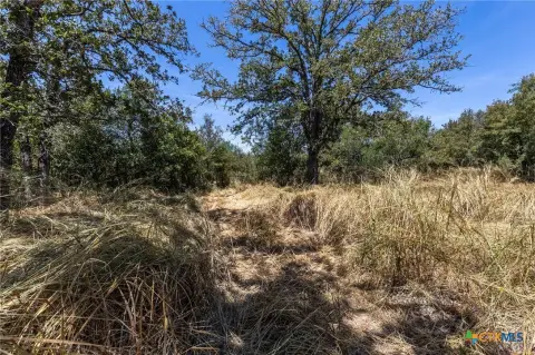 Wooded Acreage Tract