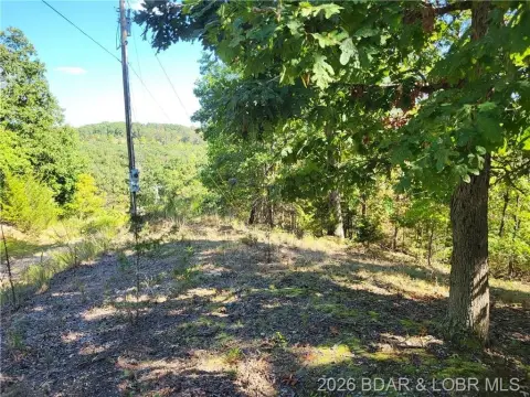Wooded Acreage Near Lake Ozarks