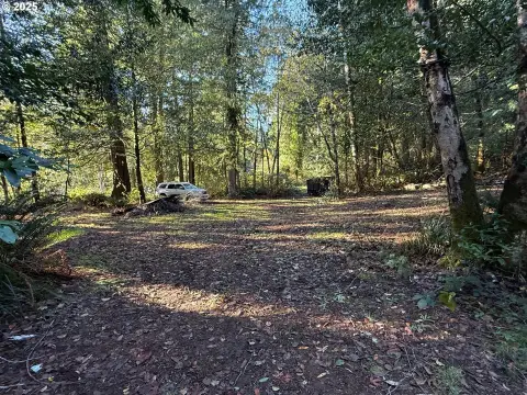 Land Near Siuslaw River