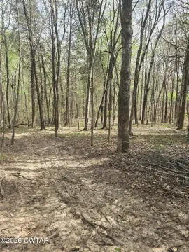 Wooded Lot in Huntingdon, TN