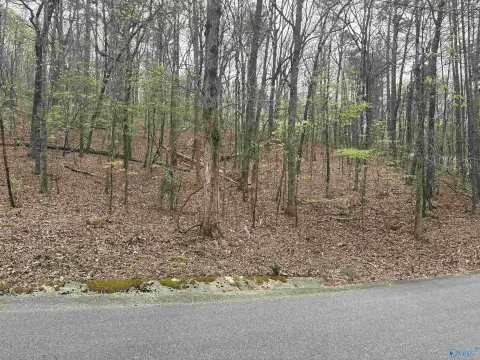 Wooded Lot in Greenbriar Estates