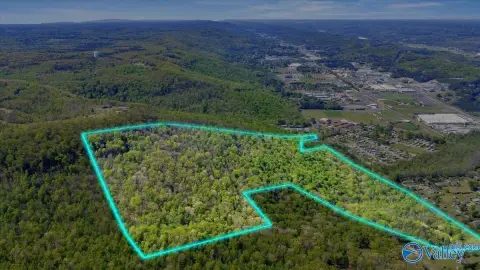 73 Acres of Prime Land