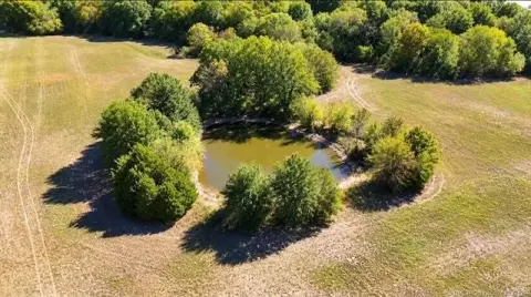 Acreage with Pond and Oak Trees