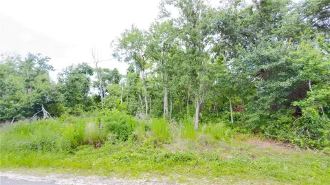 Platted Residential Lot with Road Frontage