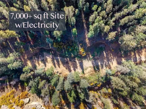 35-Acre Forested Recreation Land