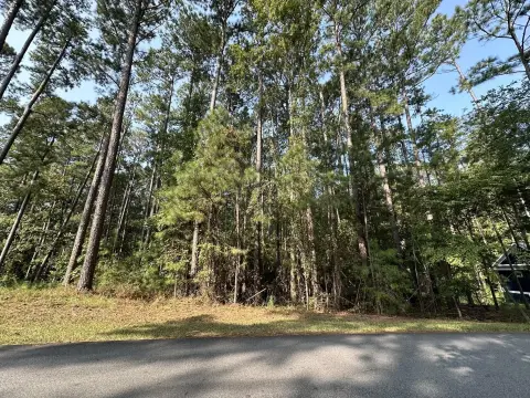 Residential Lot in Savannah Lakes