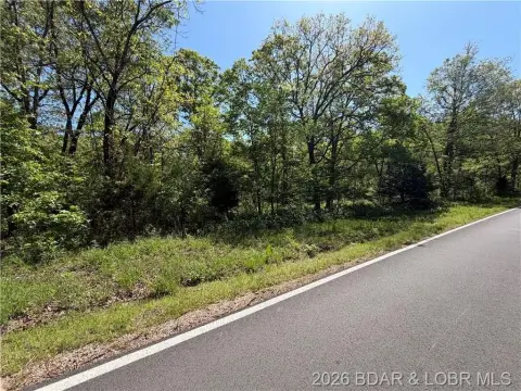Untimbered Hunting and Homesite Land