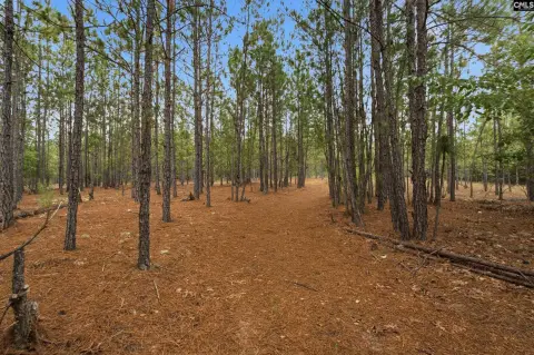 Recreational Land with Pond Potential