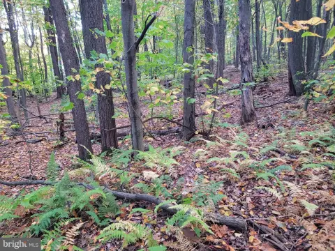 Residential Land in Claysburg, PA