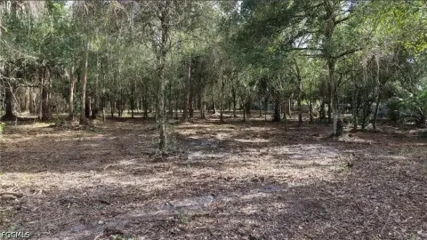 Cleared Residential Land Lot