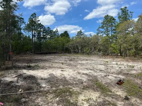 Residential Lot in Dunnellon, FL