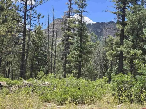 Secluded Mountain Land in Durango