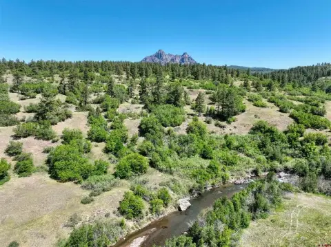 35 Acres with Navajo River Fishing
