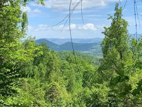 Young Harris Vacant Lot