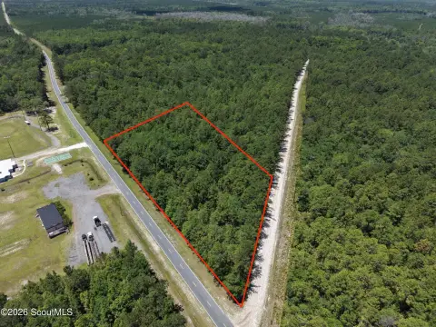 Wooded Land Tract with Road Access