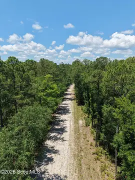 Wooded Recreational Land Tract