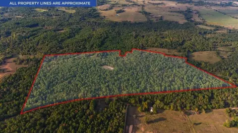 Wooded Hunting Land