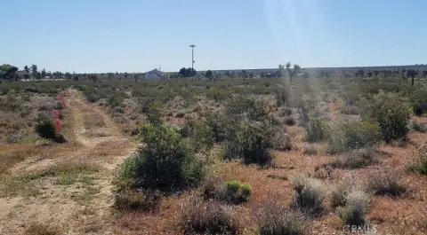 2.5 Acre Palmdale Land