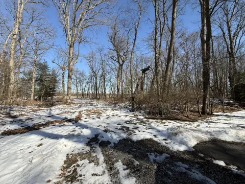 Wooded Homesite in Kouts, Indiana