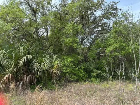 Dunnellon Acre Lot For Sale