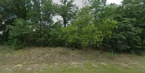 Citrus Springs Land For Sale