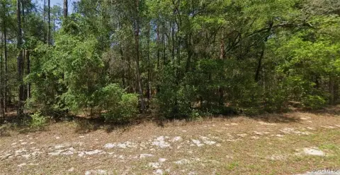 Land Near Withlacoochee River