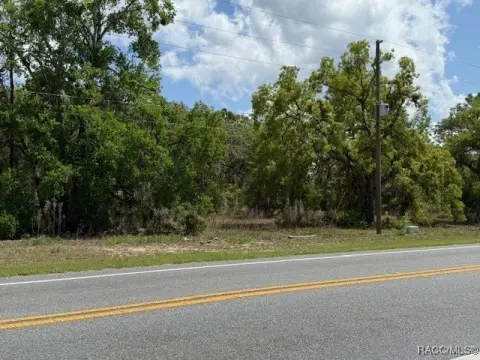 Floral City Land For Sale