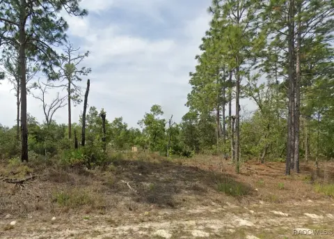 Corner Homesite in Citrus Springs