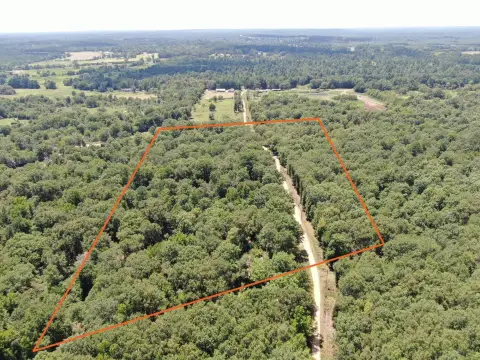 Heavily Wooded Hunting Land with Private Road