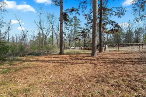 4+ Acre Hunting and Home Site