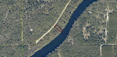 Land on Suwannee River