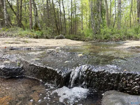 20.9 Acres Near Rosalie