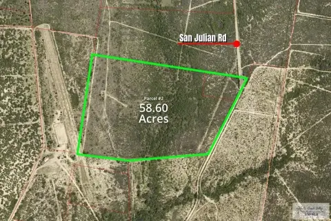 Roma, TX Agricultural Land