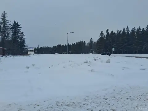 Commercial Land in Naubinway, MI
