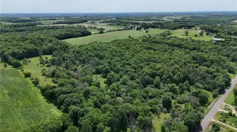 Agricultural Land and Wooded Tract