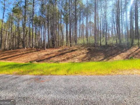 Ellijay, GA Land For Sale